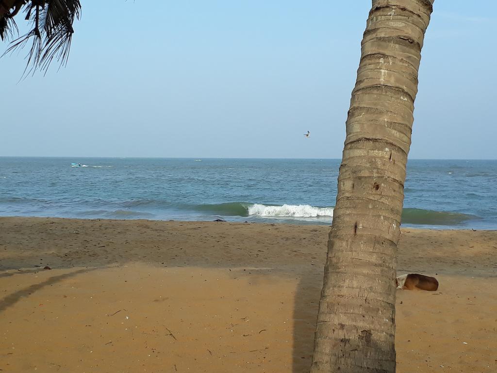 Anicia Beach House Negombo Kültér fotó
